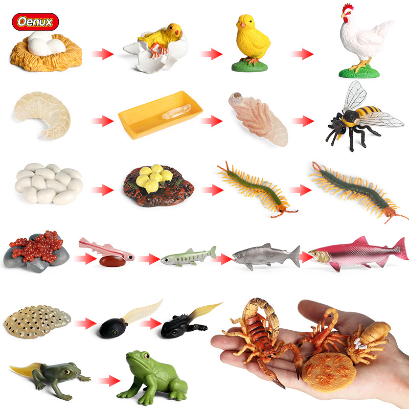 Oenux-figuras de acción de cic - Baby Products Pictures reseña y precio