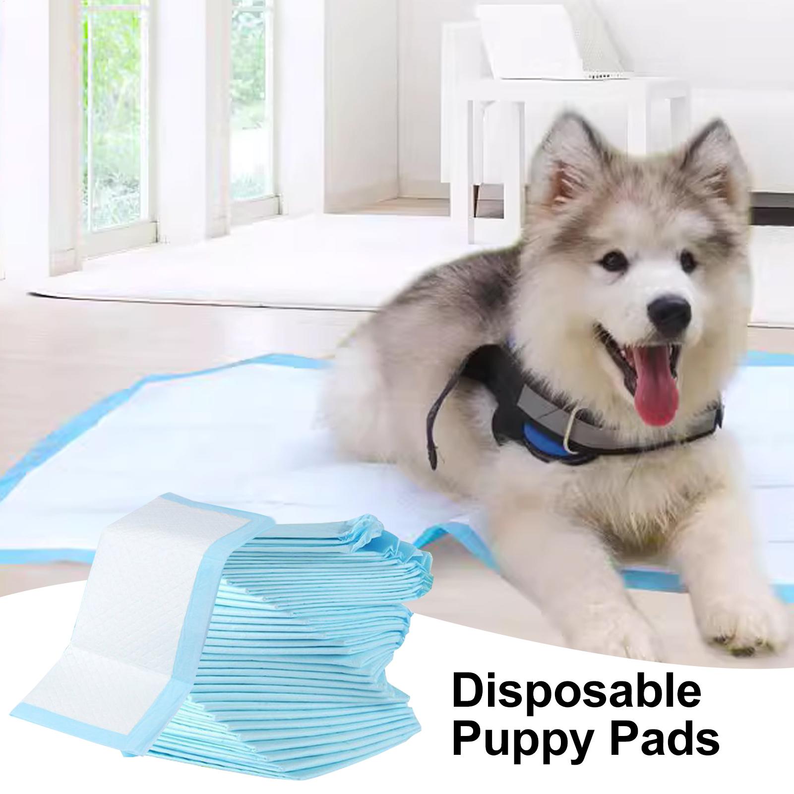Almohadilla para cambiar pañal - Diaper Changing Mat reseña y precio